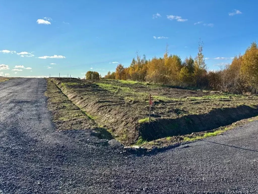 Участок в Ленинградская область, Всеволожский район, Агалатовское ... - Фото 1