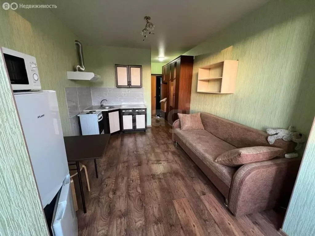 Квартира-студия: Краснодар, Тепличная улица, 94 (23.5 м) - Фото 1