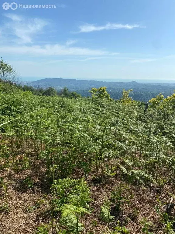 Участок в село Сергей-Поле, Прудный переулок, 10А (53 м) - Фото 2