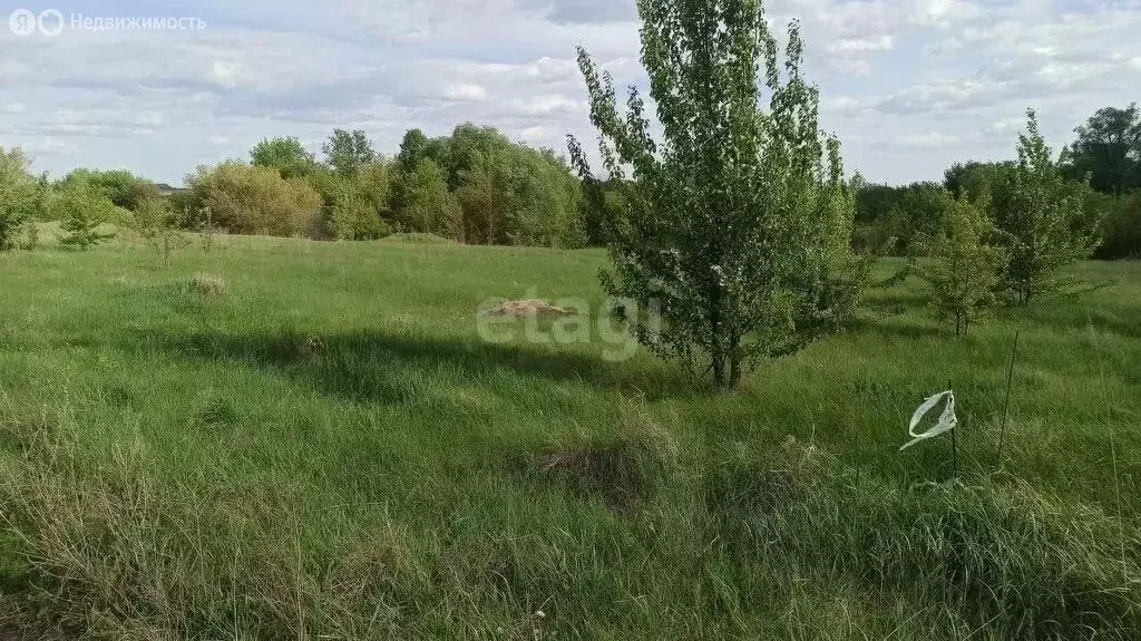 Участок в село Гремячье, улица 40 лет Октября (20 м) - Фото 0