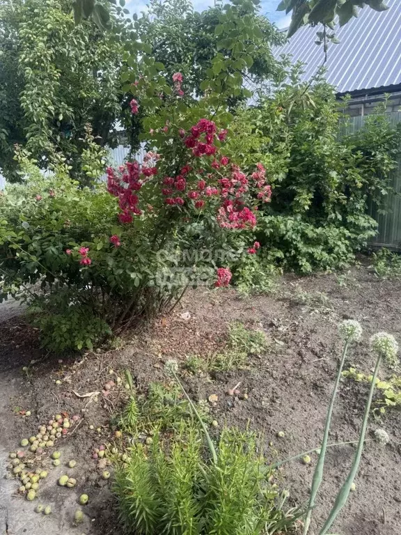 Дом в Волгоградская область, Волгоград ул. Красных Командиров (59 м) - Фото 1