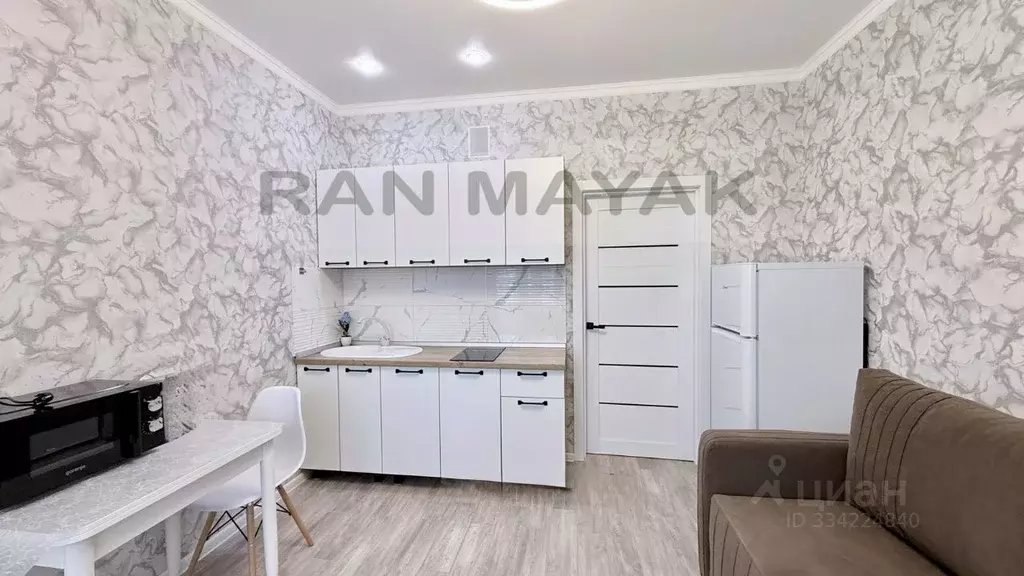 Студия Адыгея, Майкоп ул. К.А. Васильева, 1 (20.1 м) - Фото 2
