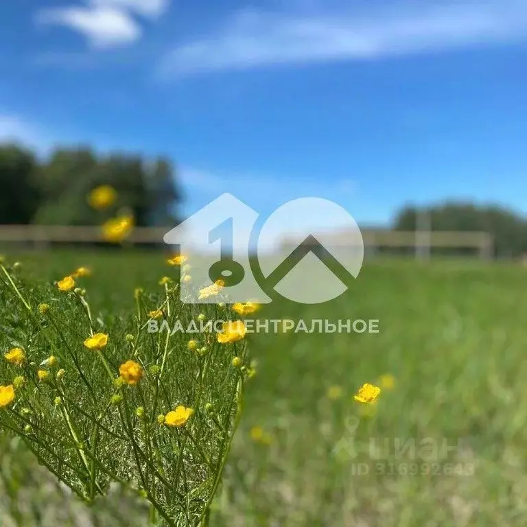 Участок, 5.9 сот., сельхоз (снт или днп) - Фото 0