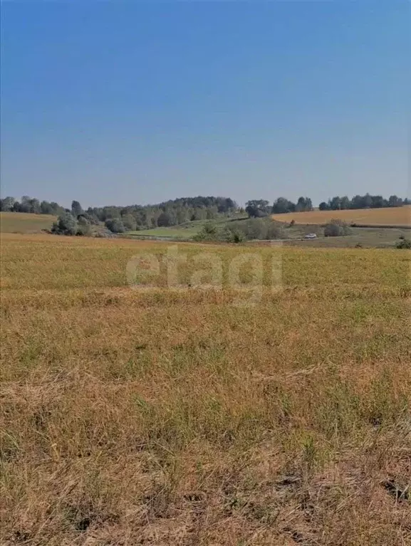 Участок в Брянская область, Брянский район, Снежское с/пос, с. ... - Фото 2