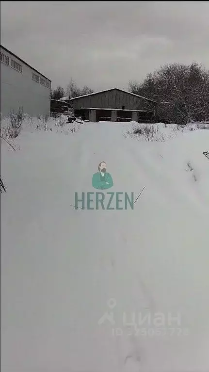 Производственное помещение в Московская область, Пушкино Мамонтовка ... - Фото 1