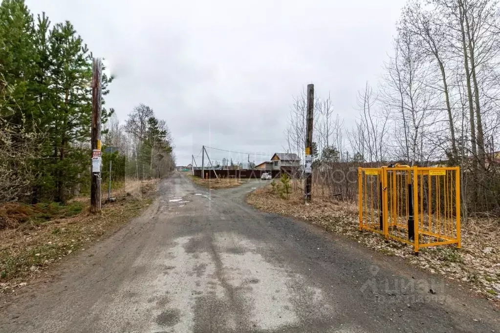 Участок в Тюменская область, Нижнетавдинский муниципальный округ, с. ... - Фото 1