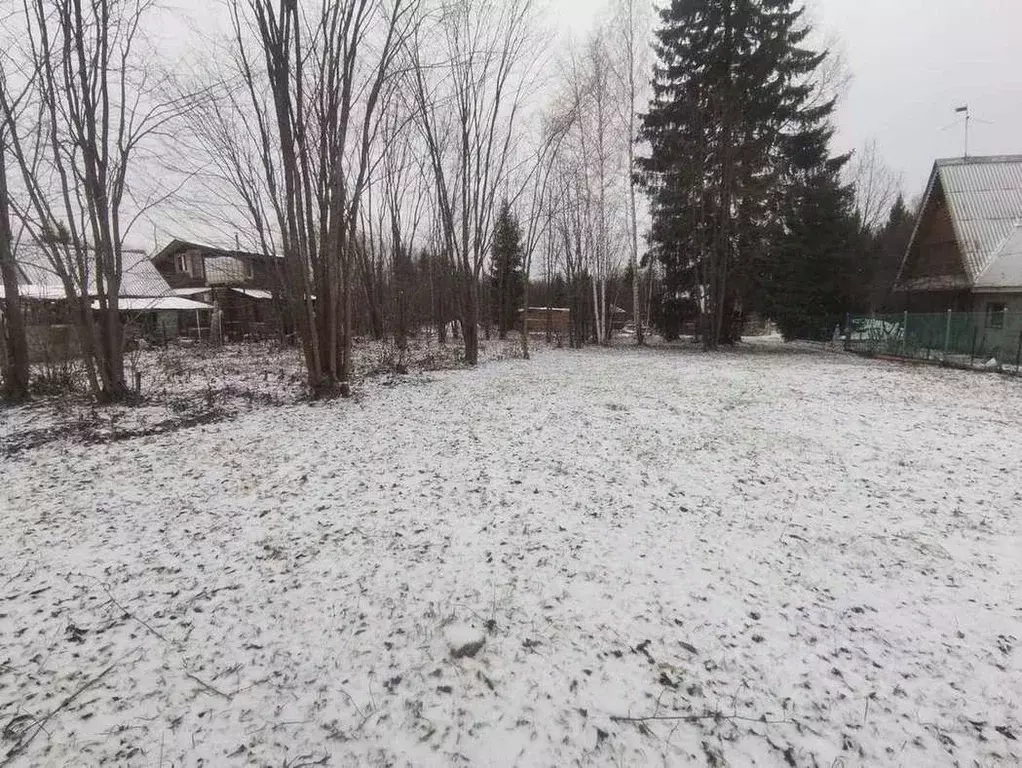 Участок в Пермский край, Пермский муниципальный округ, Чистые Ключи ... - Фото 1