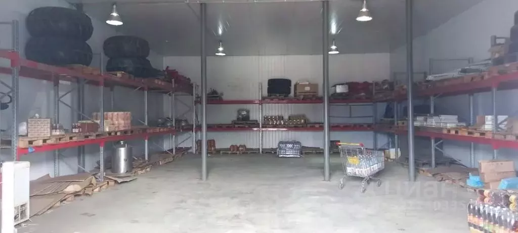 Помещение свободного назначения в Краснодарский край, Динской район, ... - Фото 1