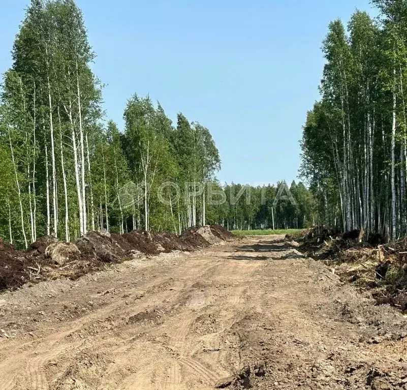 Участок в Тюменская область, Нижнетавдинский район, Строитель ТСН ул. ... - Фото 0