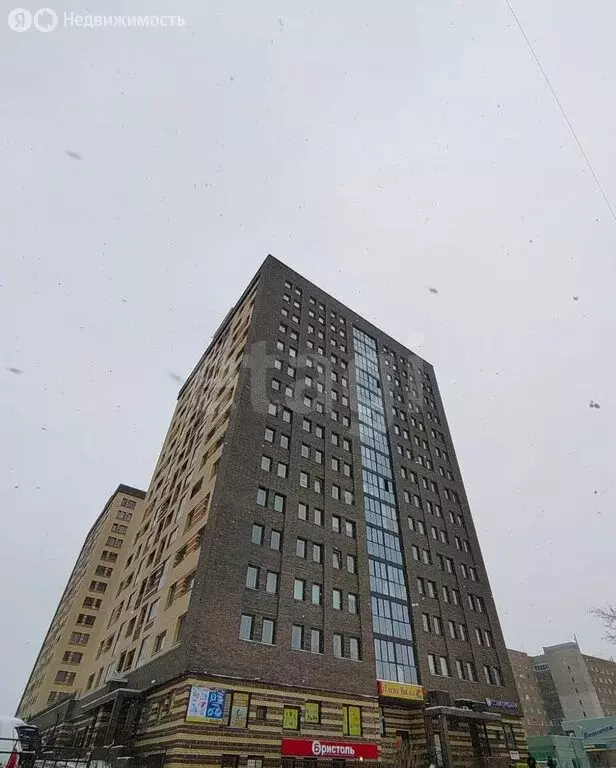 Помещение свободного назначения (16.5 м) - Фото 1