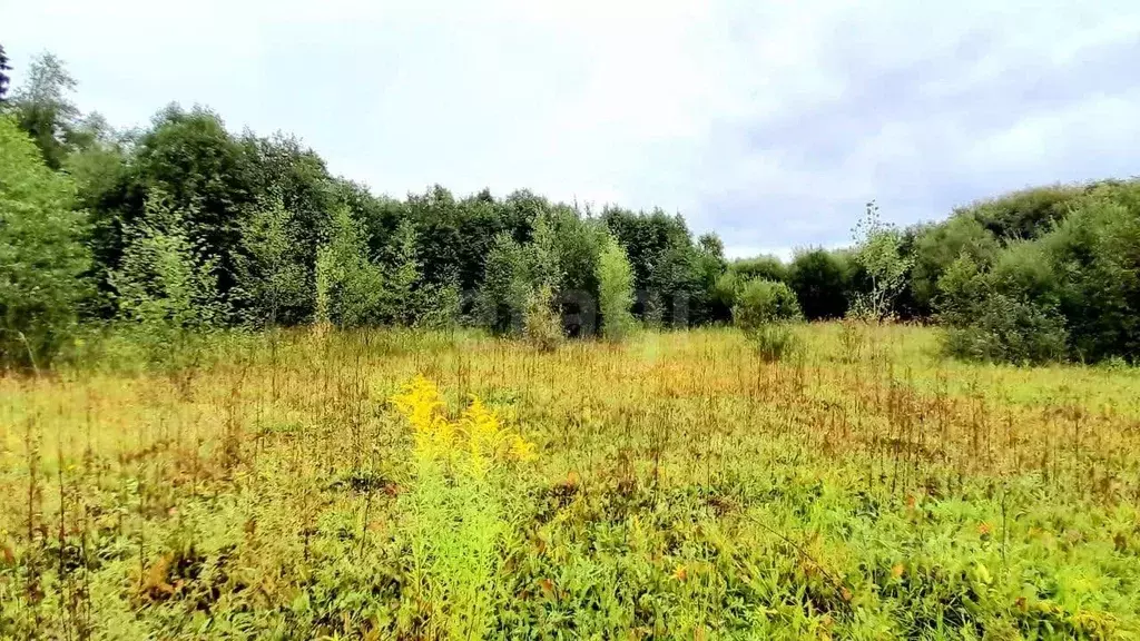 Участок в Кировская область, Киров городской округ, д. Чарушины  (10.5 ... - Фото 1