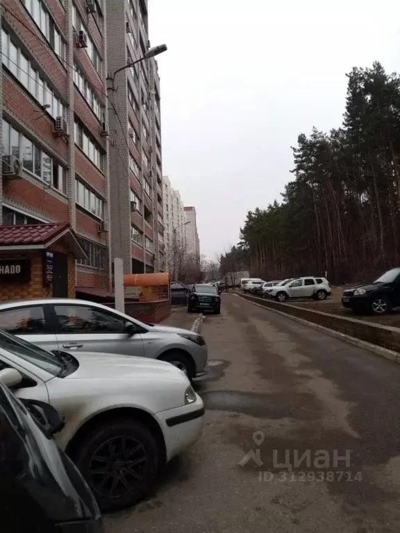 1-к кв. Воронежская область, Воронеж ул. Антонова-Овсеенко, 31а (43.1 ... - Фото 1