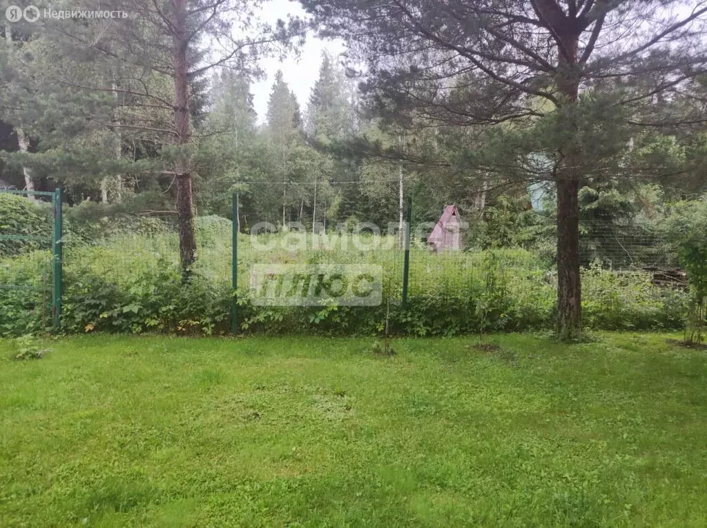 Участок в Московская область, городской округ Солнечногорск, садовое ... - Фото 2