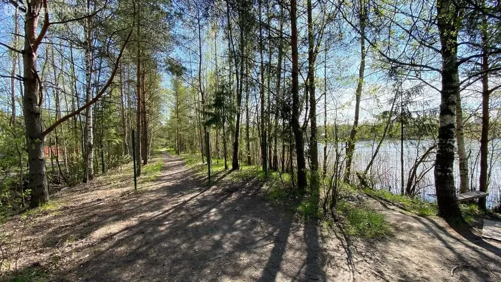 Участок в Пениковское сельское поселение, садовое товарищество Лада, ... - Фото 0