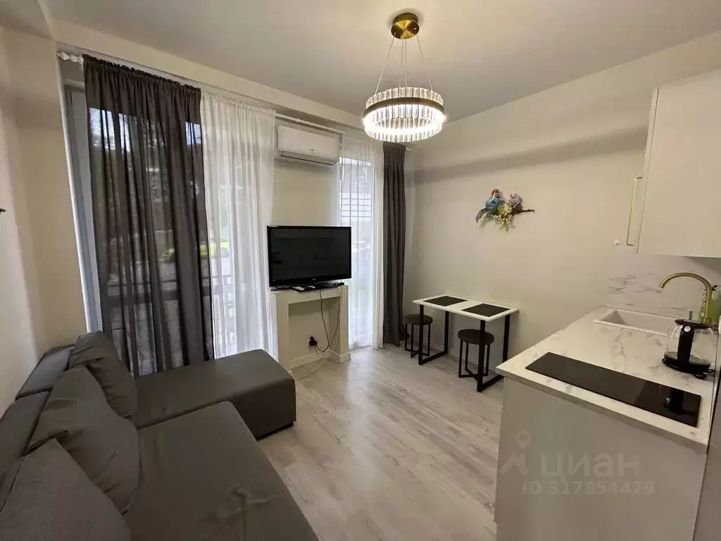 1-к кв. Краснодарский край, Сочи ул. Ленина, 298В (39.0 м) - Фото 0