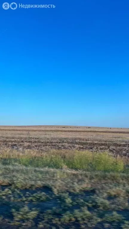 Участок в Красное сельское поселение, хутор Заяр, Новогодняя улица (25 ... - Фото 1