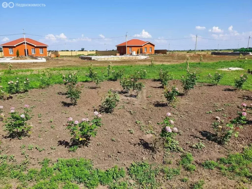 Участок в хутор Новоалександровка, Украинская улица (6 м) - Фото 0