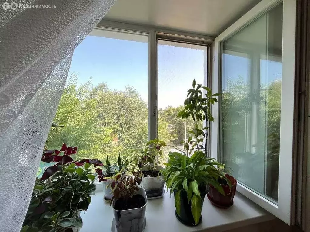 2-комнатная квартира: Благовещенск, Театральная улица, 81/1 (31.4 м) - Фото 0