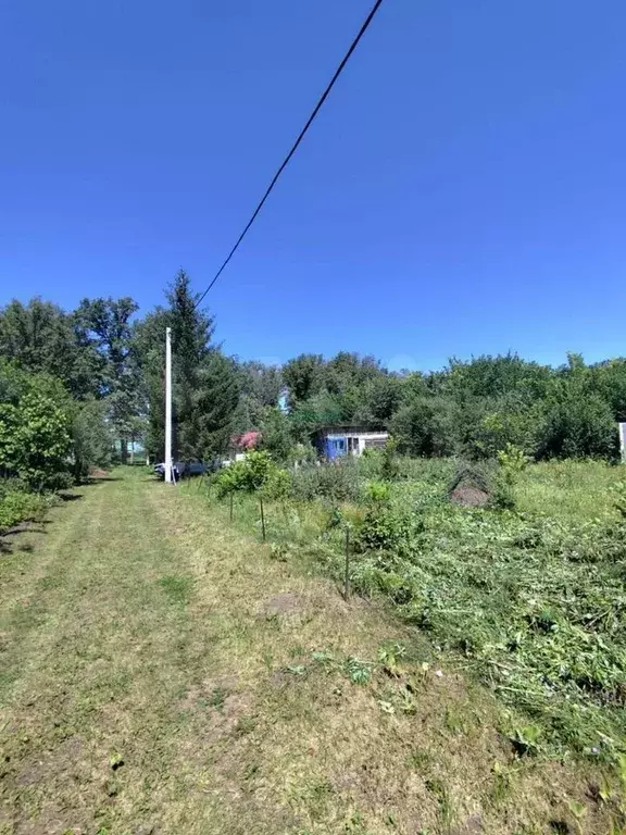Участок 8 сот. (СНТ, ДНП) - Фото 1