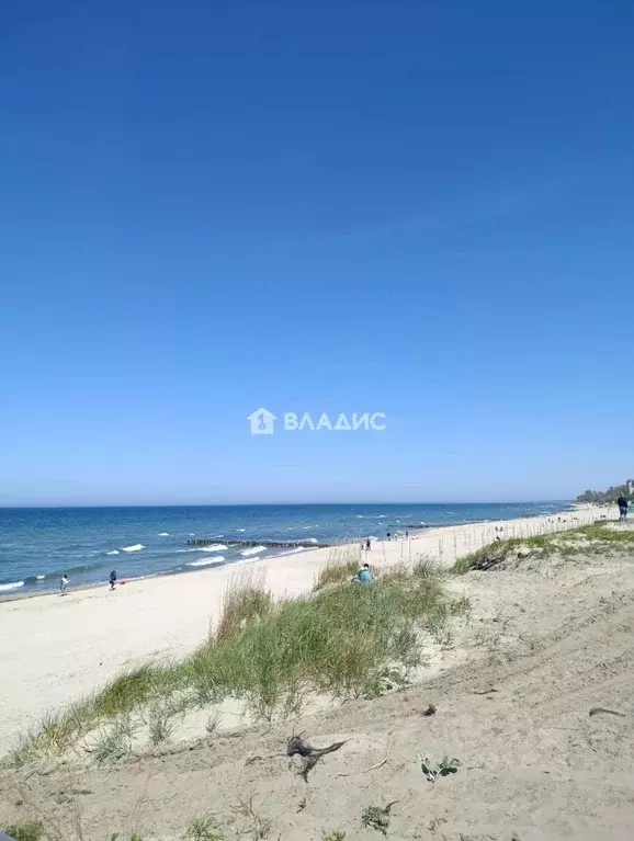 Участок в Калининградская область, Зеленоградск ул. Амурская (4.5 ... - Фото 1