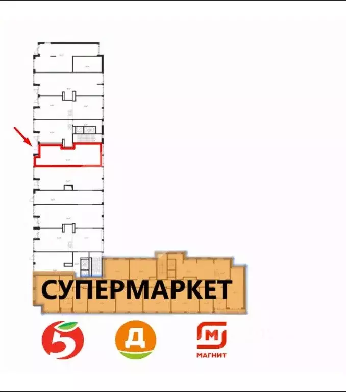 Торговая площадь в Московская область, Химки Клязьма-Старбеево мкр, ... - Фото 2