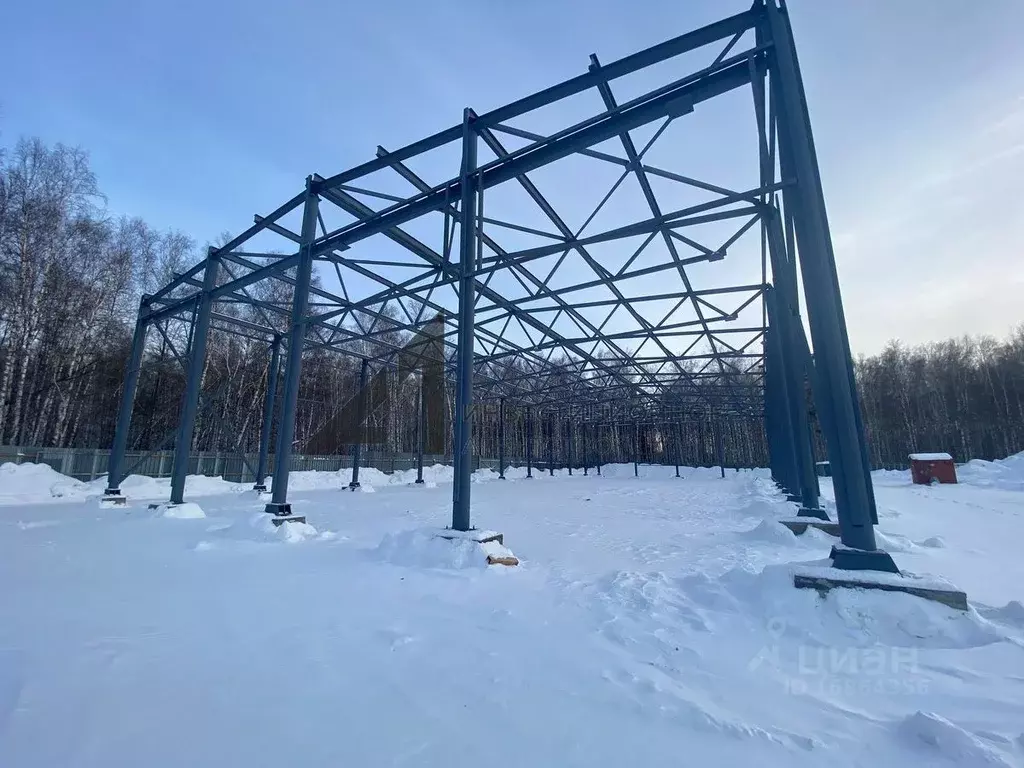 Помещение свободного назначения в Тюменская область, Тюменский район, ... - Фото 1