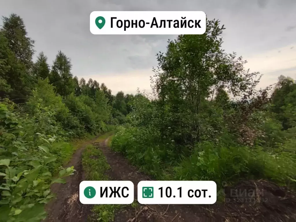 Участок в Алтай, Горно-Алтайск Поселковая ул. (10.1 сот.) - Фото 1