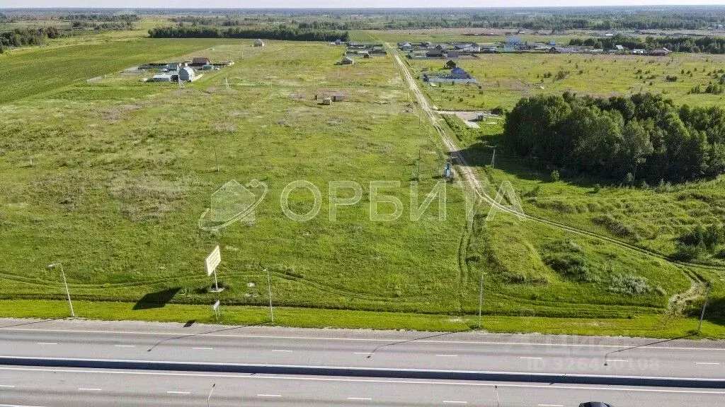 Участок в Тюменская область, Тюменский муниципальный округ, с. Борки ... - Фото 1