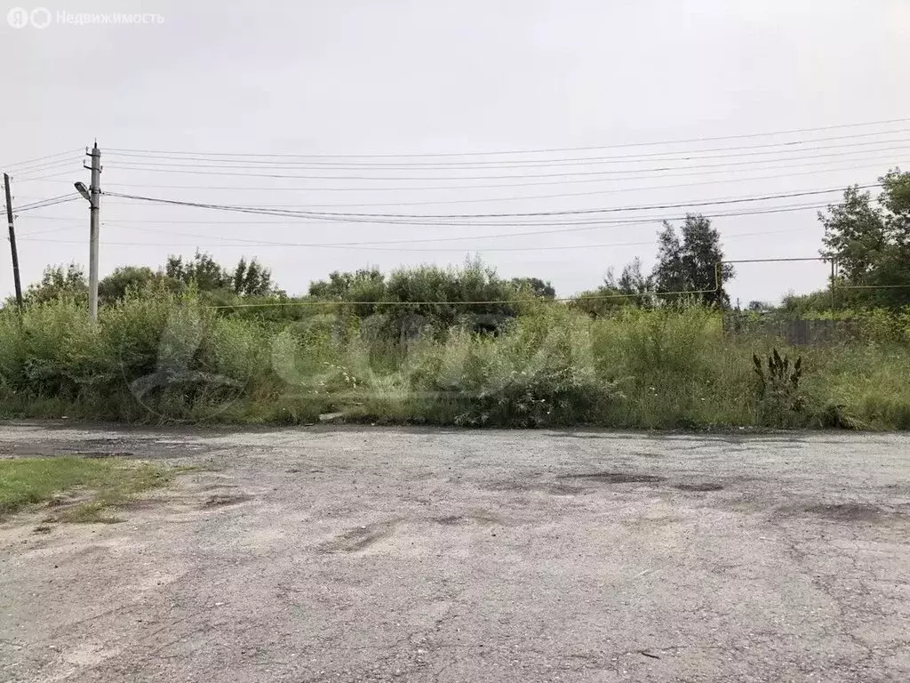 Участок в Ялуторовский район, село Киева (10 м) - Фото 1