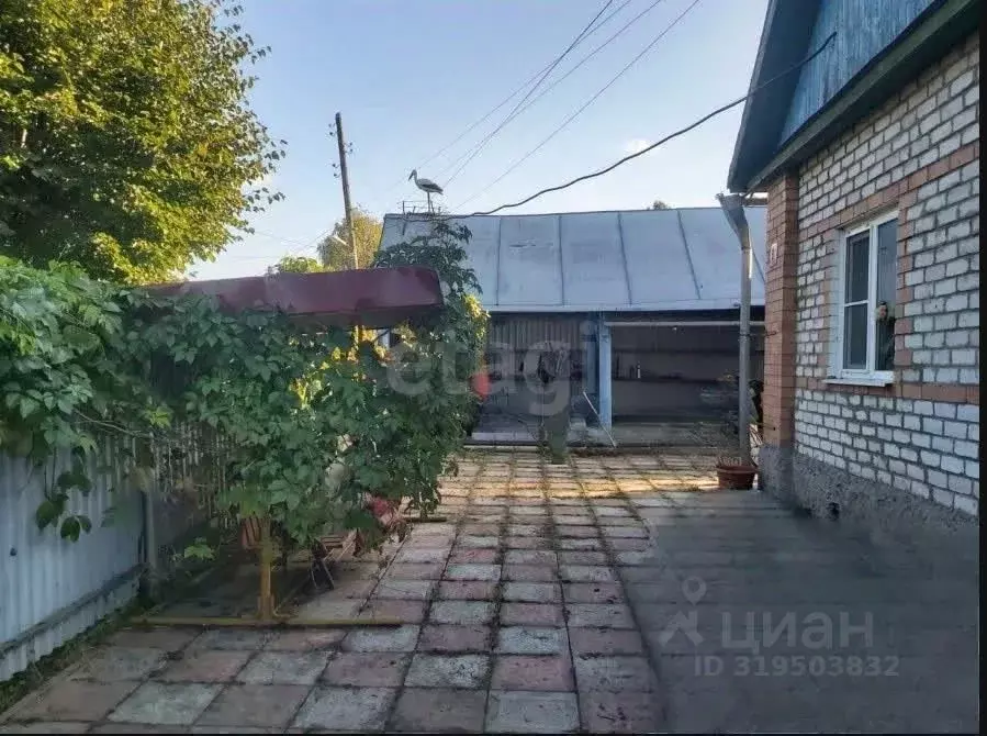 Дом в Владимирская область, Кольчугино ул. Папанинцев (61 м) - Фото 1