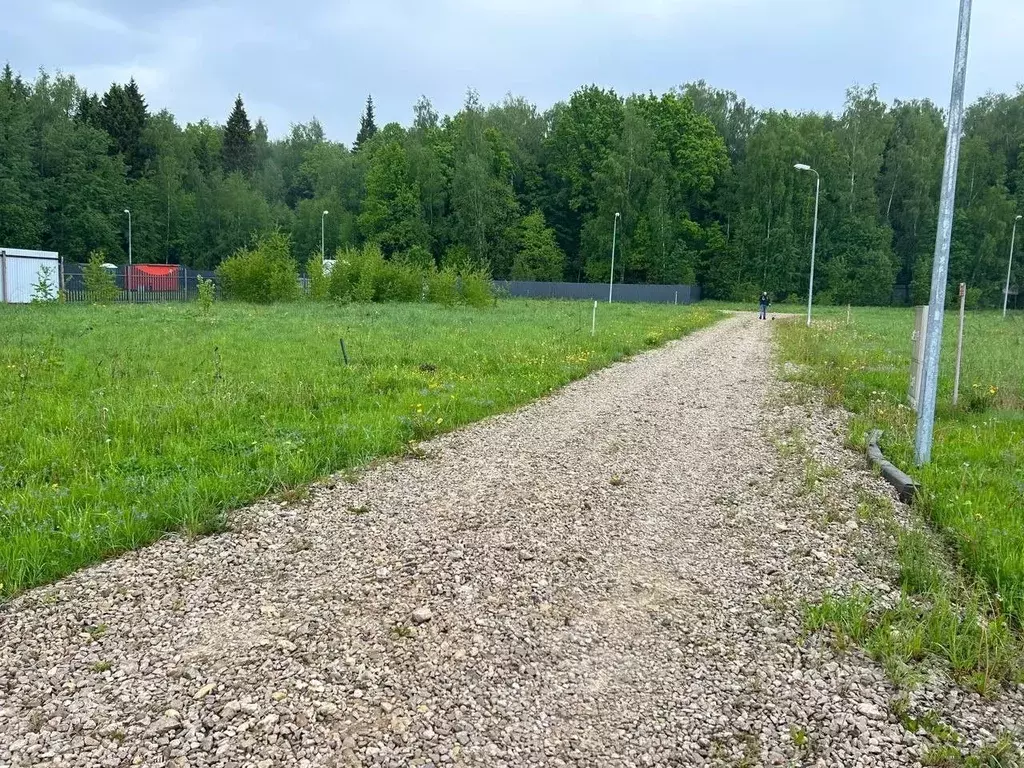 Участок в Московская область, Домодедово городской округ, с. Никитское ... - Фото 1