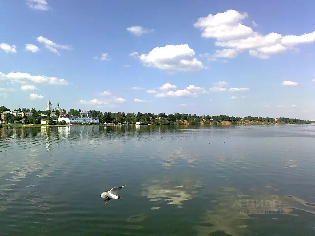 Участок в Ярославская область, Мышкинский район, Охотинское с/пос, д. ... - Фото 2