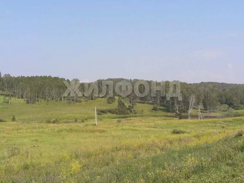 Участок в Нижегородская область, Княгининский муниципальный округ, ... - Фото 0