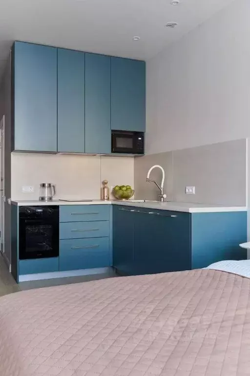 Студия Санкт-Петербург наб. Миклухо-Маклая, 3к1 (25.0 м) - Фото 1