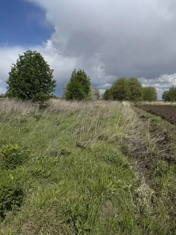 Участок в Владимирская область, Суздальский район, Боголюбовское ... - Фото 0