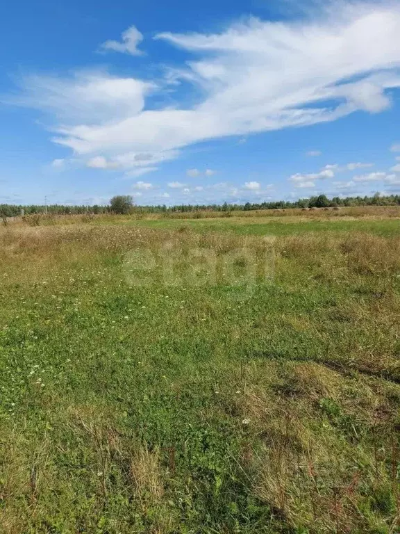 Участок в Тюменская область, Тобольский район, Малозоркальцевское ... - Фото 1