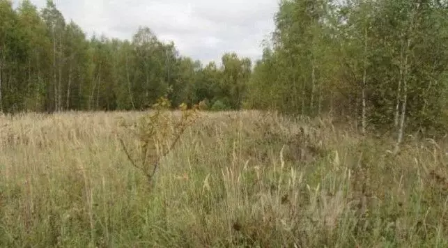 Участок в Московская область, Коломна городской округ, с. Редькино  ... - Фото 1