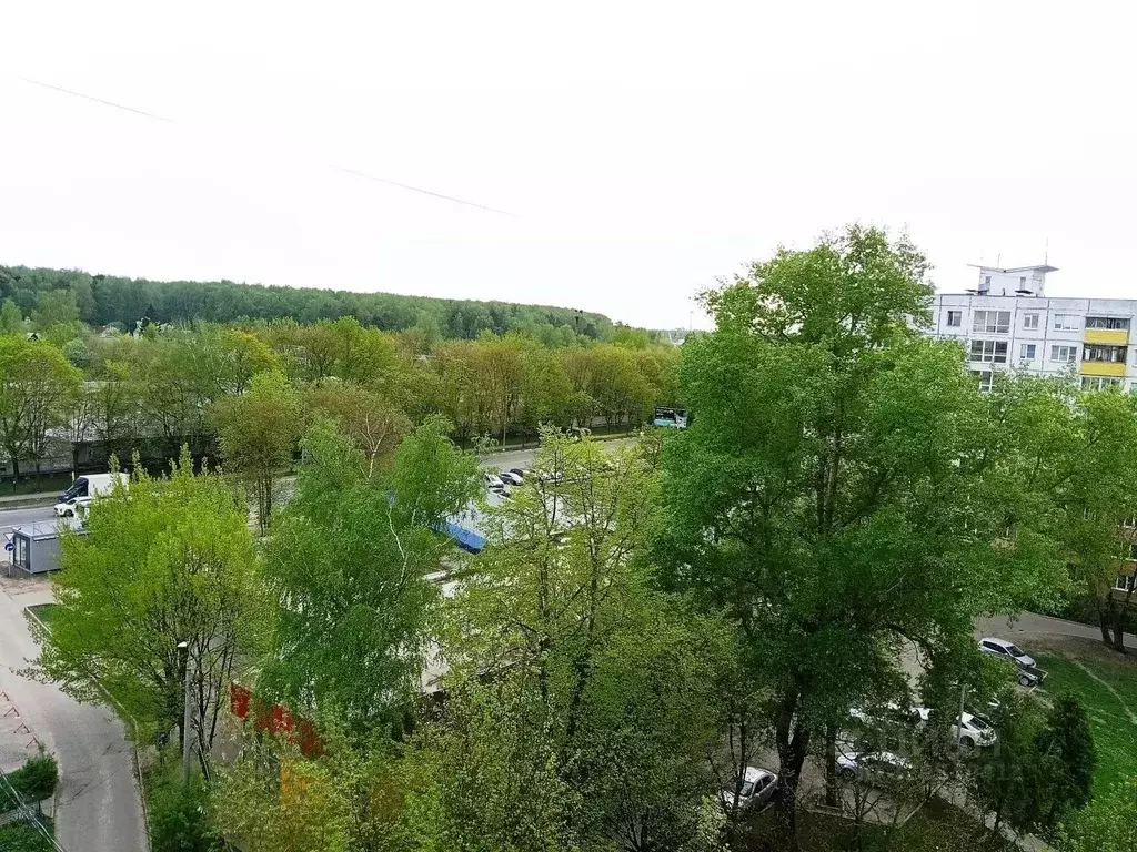 1-к кв. Московская область, Ногинск Богородский городской округ, ул. ... - Фото 2