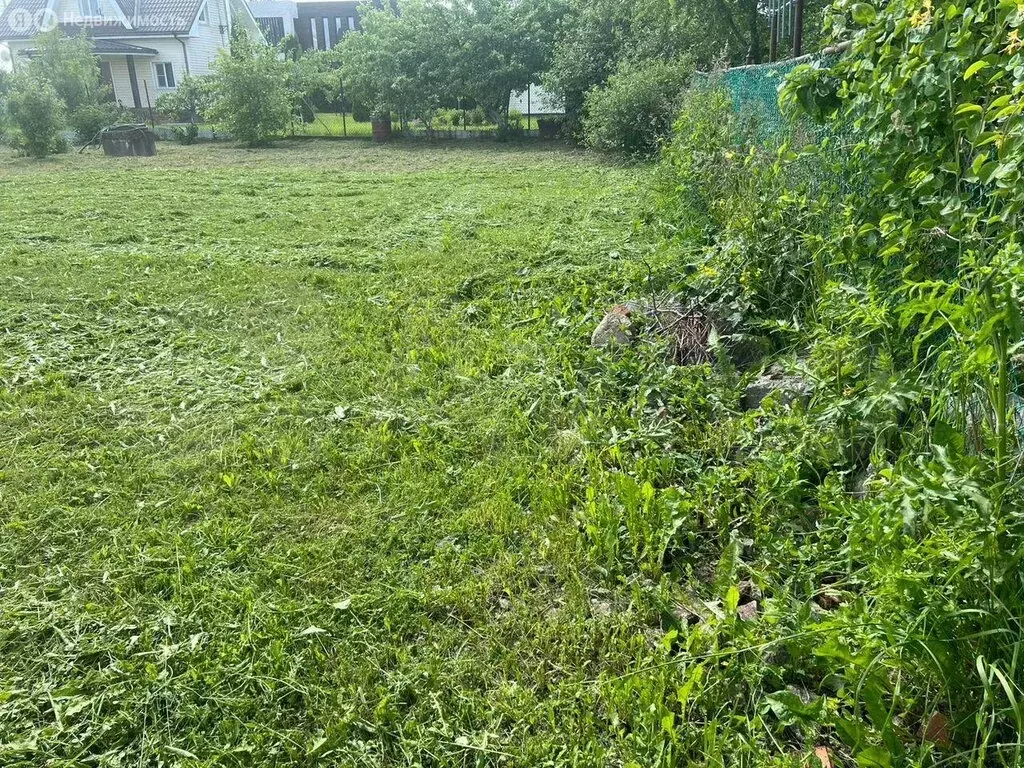 Участок в Лаголовское сельское поселение, товарищество собственников ... - Фото 2