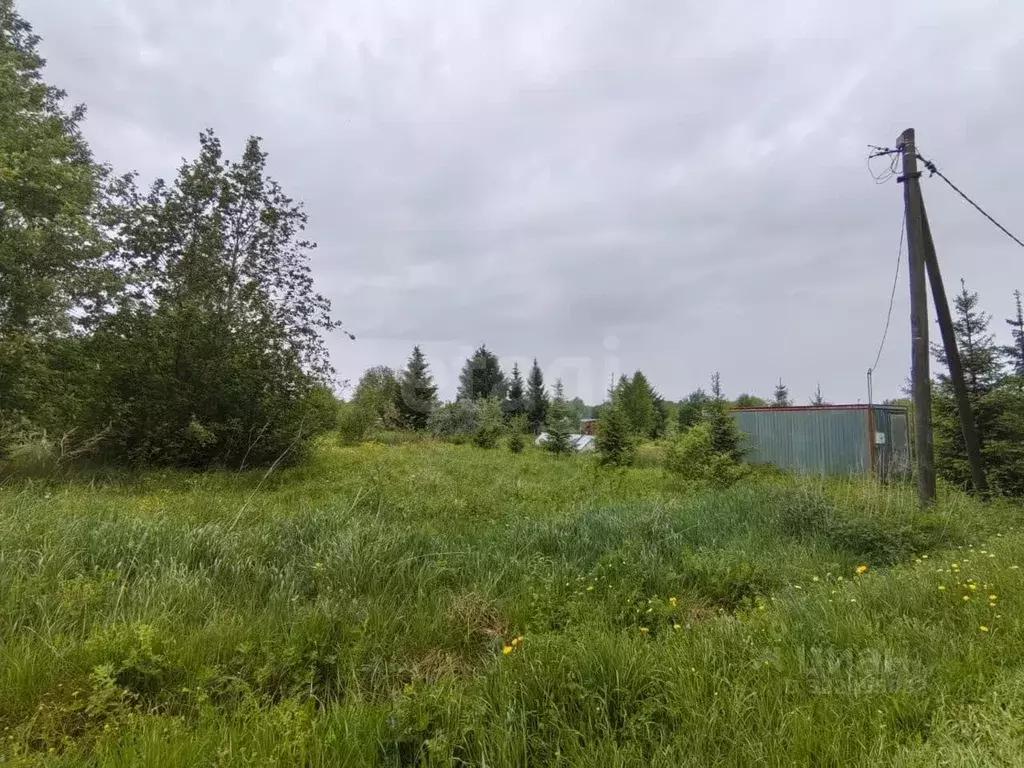 Участок в Вологодская область, Костино-1 садоводческое товарищество  ... - Фото 2