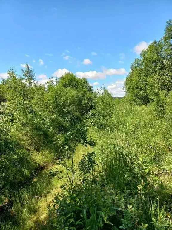 Участок в Ленинградская область, Всеволожский район, Заневское ... - Фото 2