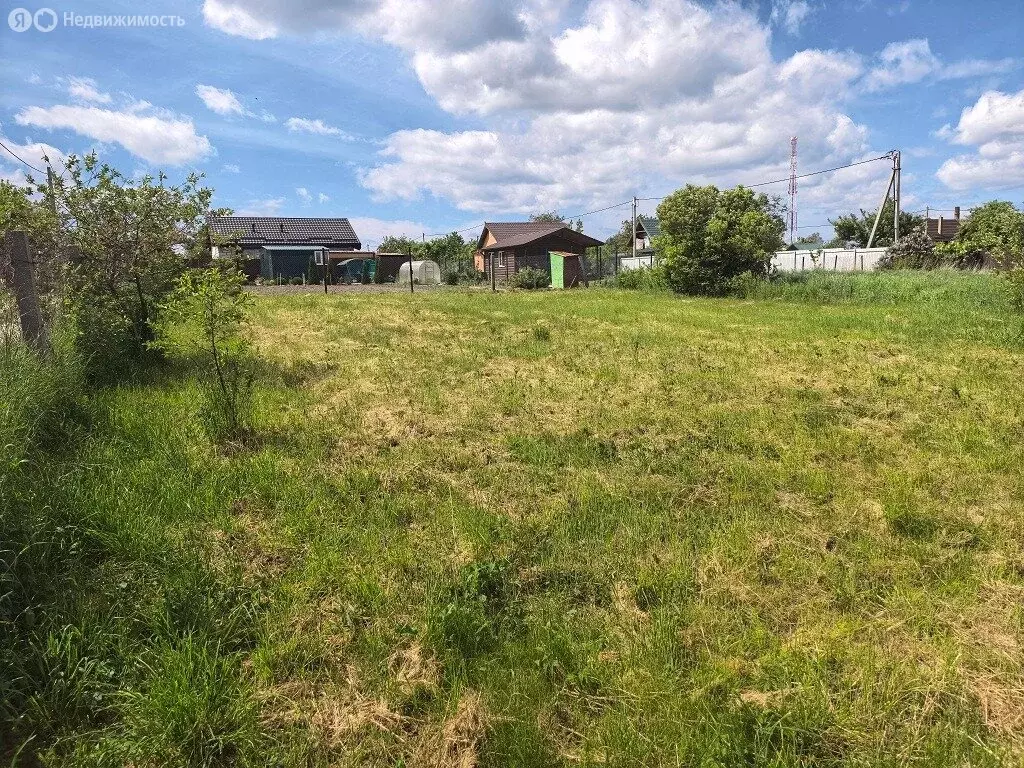Участок в посёлок городского типа Янтарный, СНТ Садовник, Кленовая ... - Фото 2
