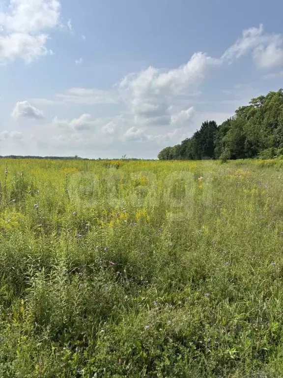 Участок в Тульская область, Тула городской округ, д. Малевка  (9.21 ... - Фото 1