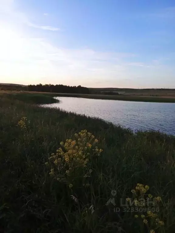 Участок в Саратовская область, Новобурасское муниципальное ... - Фото 2