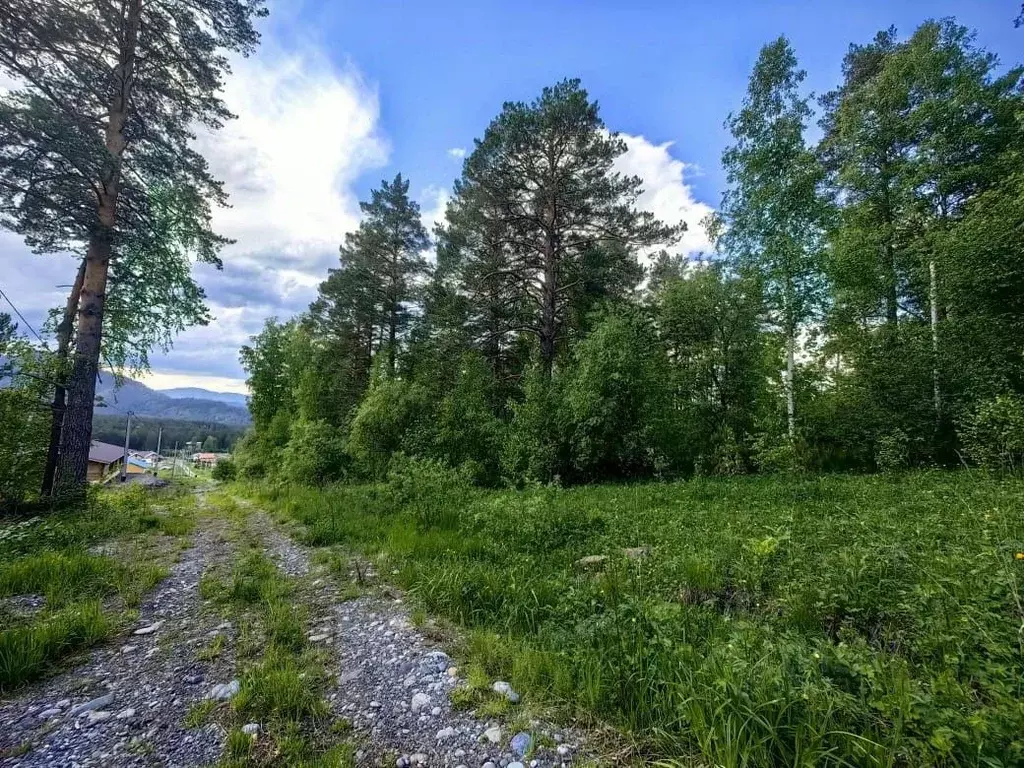 Участок в Алтай, Майминский район, Манжерокское с/пос, с. Озерное ул. ... - Фото 1