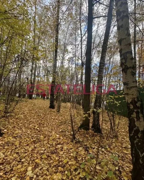 Участок в Московская область, Ленинский городской округ, Измайлово пгт ... - Фото 2