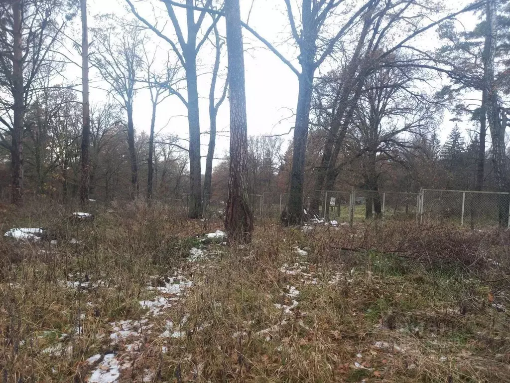 Участок в Калужская область, Таруса Серпуховское ш., 63 (10.0 сот.) - Фото 0