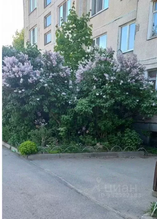 Комната Ленинградская область, Выборгский район, Рощино городской ... - Фото 1