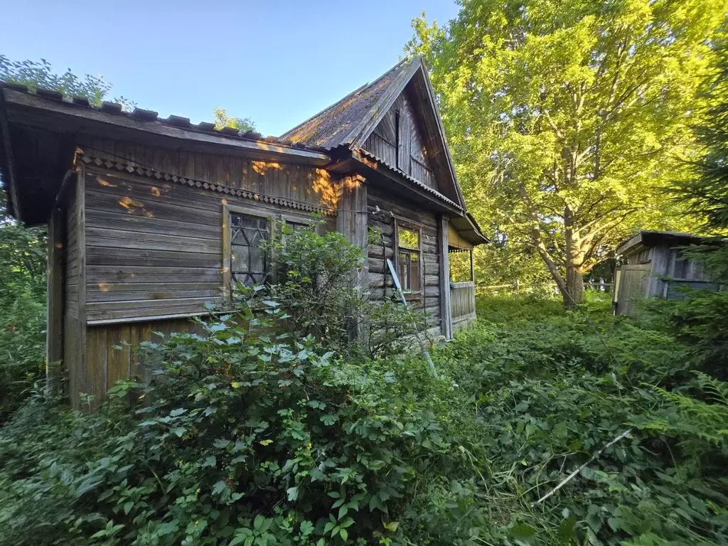 Участок в Ленинградская область, Ломоносовский район, Лебяженское ... - Фото 2