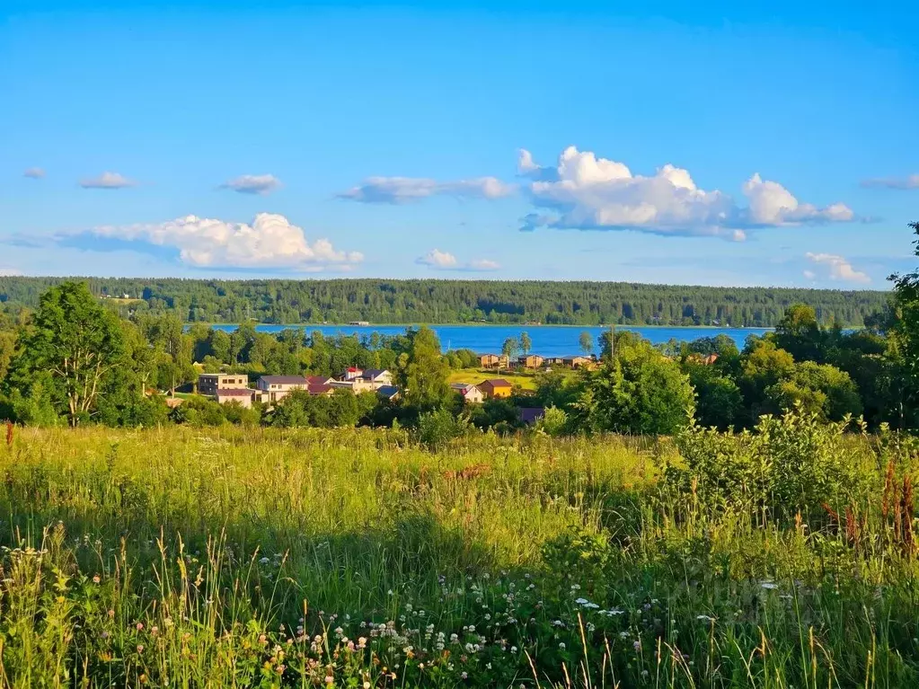Участок в Ленинградская область, Приозерский район, Петровское с/пос  ... - Фото 2